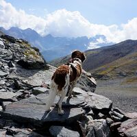 Val Muretto