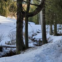 1.2 km Brücklein mit Tiefschneevariante