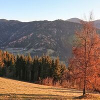 Aussicht von der Tobiasalm