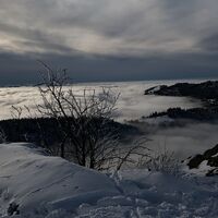 Schneeschuhtrail-Panoramawegtrail