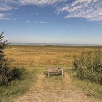 Bike Buddies Burgenland