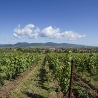 Ortsansicht Landau-Arzheim