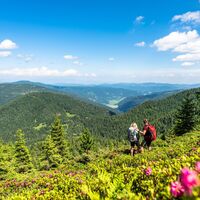Wandern