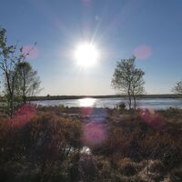 Blick auf das Naturschutzgebiet Halemer und Dahlemer See