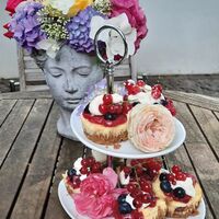 Kaffee &amp; Kuchen unterwegs (1)