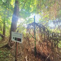 Flora und Faune