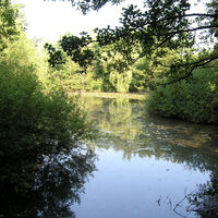 Karlsbad Hermannsee