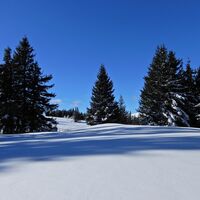 Feistritzsattel - Harterkogel