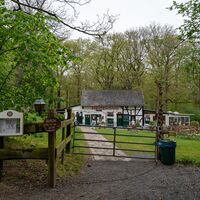 Heidekönig