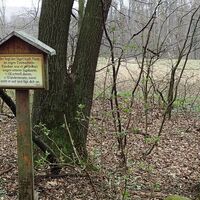 Aufstieg nahe Eichenhain