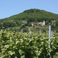 Slevogthof und Neukastel