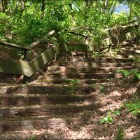 Waldtreppe
