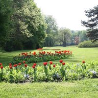Blütenpracht im Fürst-Pückler-Park, Bad Muskau