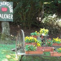 Buschenschank Falkner