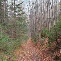 17.8 km Leichter Trail zur Ruine