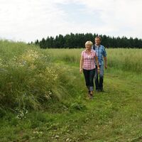 Wiesenweg zum Näsbachtal
