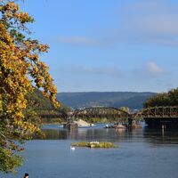 aarebruecke-mit-baeumen-im-herbst
