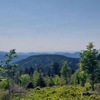 Aussicht am Metzgerstein