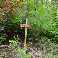 Auf dem Mühlenweg geht es Richtung Marxzell