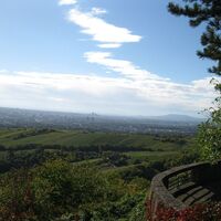 Kahlenberg - Klosterneuburg - Greifenstein