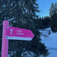 Wegweiser Seeben und Chrüz