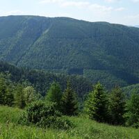 Trafelberg 1146m
