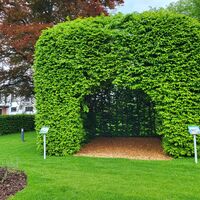 Garten der Generationen Medebach