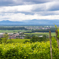 Erlebnisregion Europa-Park_Blick in die Region