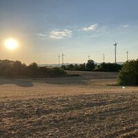 Blick Richtung Pfälzer Wald vom Wein- und Wiesenweg Freckenfeld