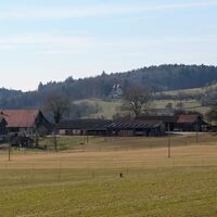 Blick vom Bühlarzer Hof (D) über den Hof Unterwald (CH) zum Waldheim (D)