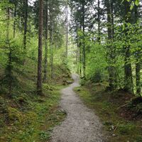 Scheffau_Kneipprundweg_Wilder Kaiser