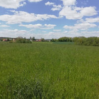 Blick zurück nach Schönhardt