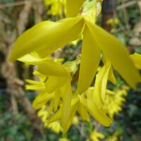 Drielandenroute-023