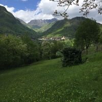 Campi