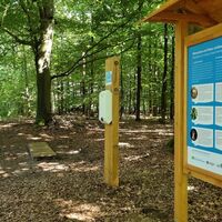 Station 1: Lückengang mit Info Naturschutz und Spender Hundekotbeutel