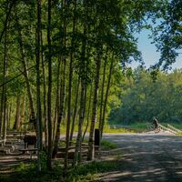 Grillplatz auf der Nordic-Walking-Strecke
