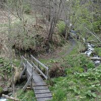 Kleine Brücke im Wald