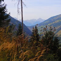 Mörtschach - Marterle - Stall