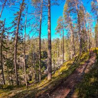 Der Weg verläuft am Vorlok-Graben entlang