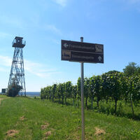 Hier lohn ein Abstecher zur sehenswerten Franziskuskapelle.