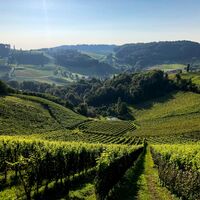 Blick von der Südsteirischen Weinstraße Richtung Norden