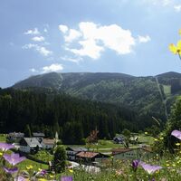 Sommerlicher Ötscherblick
