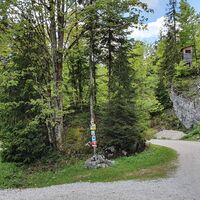 35.7 km Links zum Hotel Predigstuhl, ansonsten gerade weiter