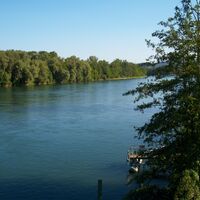 Aarezufluss in den Rhein