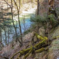 Natur Pur