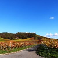Horrheimer Klosterberg