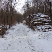 Am Weg zum Kammersberg