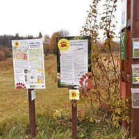 Teddybärentrail