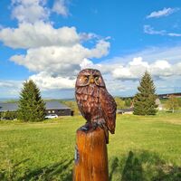 MOtivmeilenstein Waldkauz