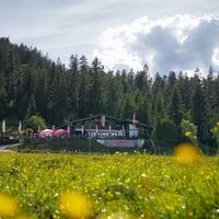 Wildmoosalm im Sommer
